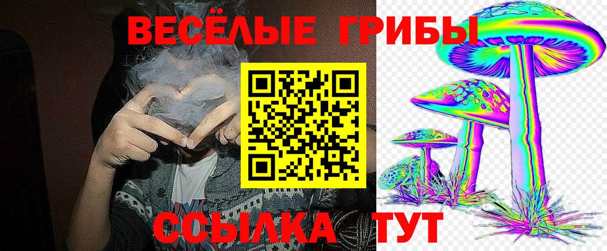 Псилоцибиновые грибы GOLDEN TEACHER  Галлюциногенные грибы прущие грибы  купить   Вход с VPN  Стерлитамак 