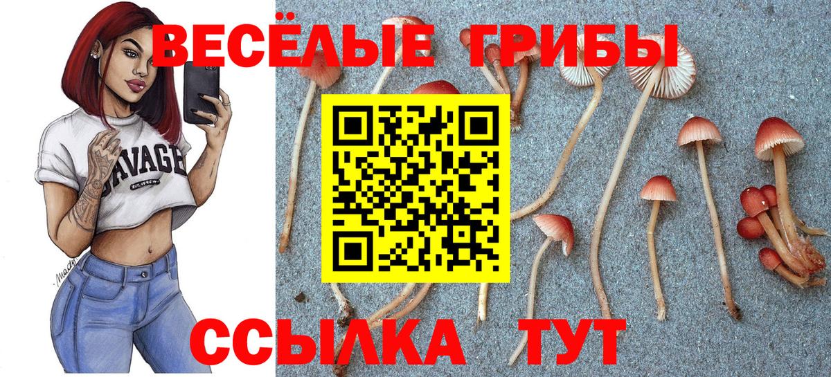 Галлюциногенные грибы мухоморы Стерлитамак
